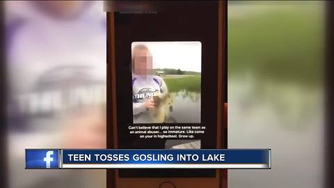 Wisconsin DNR investigating viral video of teen throwing gosling into lake