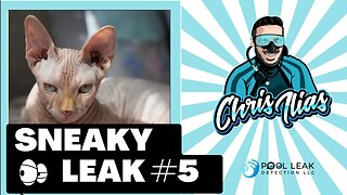 Sneaky Leak 5