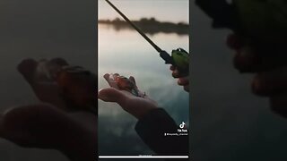 Glitch Blade hybrid crankbait - Bass Fishing - ICAST 2022