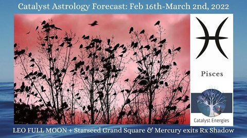 PISCES - Catalyst Astrology Forecast - LEO FULL MOON + STARSEED GRAND SQUARE: Feb 16-March 2nd, 2022