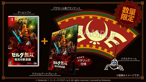 Hyrule Warriors Age of Calamity Treasure Box Revealed!