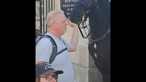 Tourist enjoys his hand being bitten #horseguardsparade