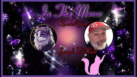 In The Meow | With Special Guest Joseph Demott