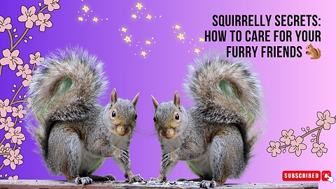 #Squirrels l 🐿️🌰How To Care For Them🐿️🌰🐿️🌰