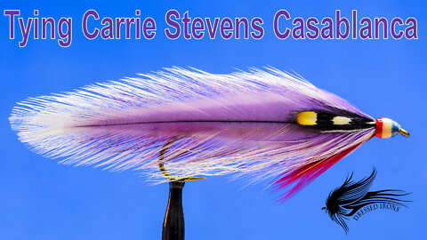 Tying Carrie Stevens Casablanca - Dressed Irons