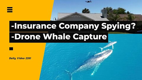 Drone Homeowners Insurance Company Spying, Child Captures Rare Whale Drone Footage