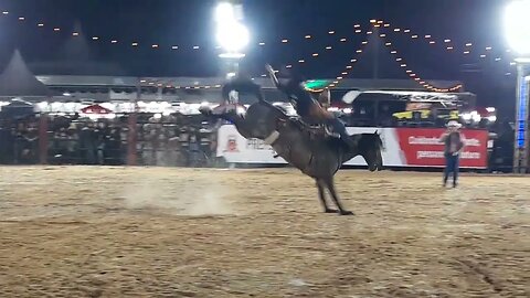 EXPO ARTUR 2022 - FINAL MONTARIA EM CAVALOS 22/10/22 (P1)