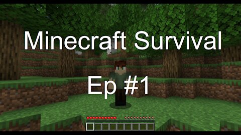 Minecraft Survival Ep 1: A New World