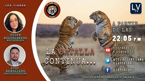 La Batalla Continua - "El Año del Tigre" T2 Ep. 09 Contingencia Salvaje