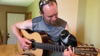 Baby Raven and a guitar
