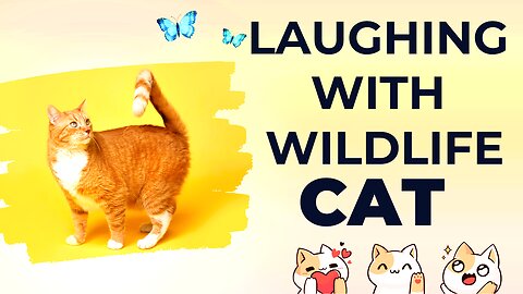 Funniest videos, funny cat 2023, #funny, #cat
