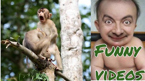 Don't miss this Funny Fails Shorts😂Try Not to Laugh Challenge Fun ny amimals Caught on Camera Meme #rumbletakeover