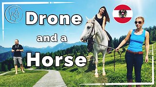 Enjoy our Horse from a Drone. Your relaxing nature horse ride through the green meadows of Austria