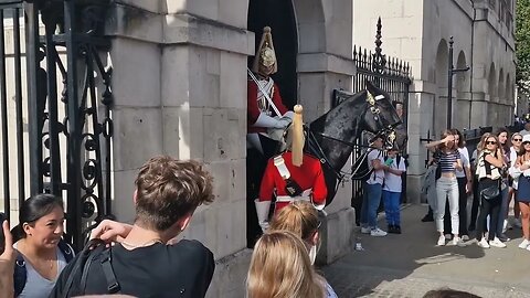 Guard shouts make way kid said calm down dude #horseguardsparade