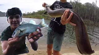 Kayak Bass Fishing - And Catching HUGE FISH! HD