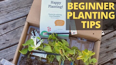 Plants Shipped to Your Home! Gardening for Beginners
