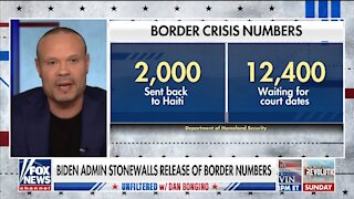 Bongino: The Big Lie is That The US Has a Southern Border