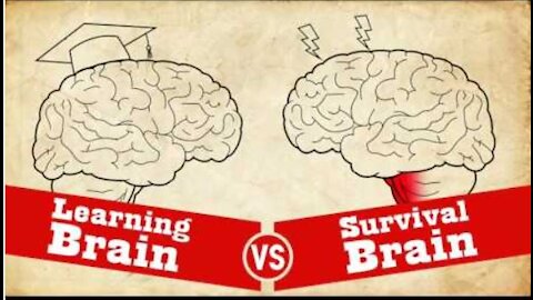Learning Brain vs Survival Brain - Understanding Trauma