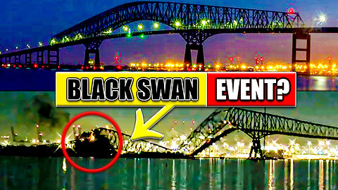 Was the Baltimore Bridge COLLAPSE a BLACK SWAN EVENT？