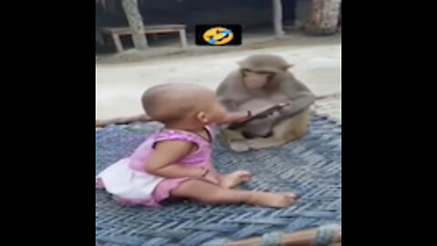 Monkey don't take my phone😤😡🤣🥰