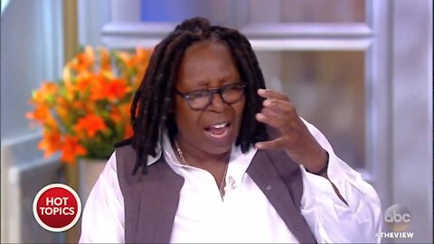 See What Happened When Diamond and Silk Visited The View!
