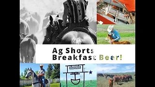 Breakfast Beer?! - Ag Shorts