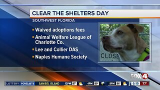 Local pet shelters to participate in Clear The Shelters Day
