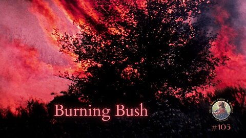 Burning Bush #105