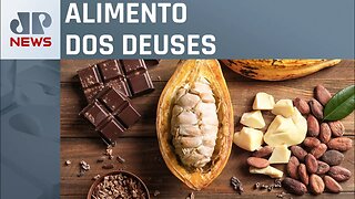 Chocolate amazônico gera riqueza e prosperidade