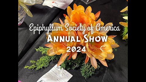 Epiphyllum Society Annual Show 2024