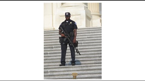 2017 Domestic Terror Attack On The US Capitol