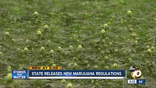 California releases new marijuana regulations