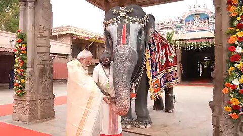Elephant blesses PM Modi, plays mouth organ at Sri Ranganatha Swamy Temple