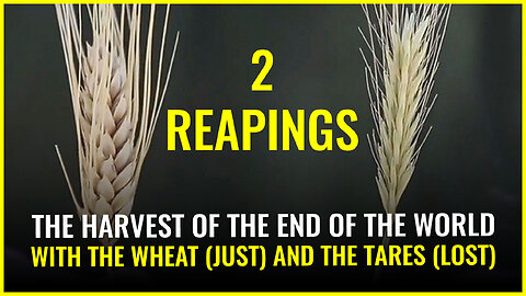 2 REAPINGS with The harvest of the END OF THE WORLD with the wheat (just) and the tares (lost)