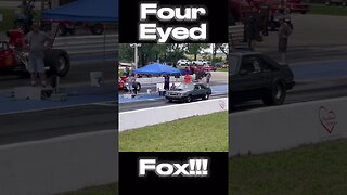 Fantastic Four Eyed Fox! #shorts