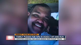 Hillsborough County deputies searching for driver in fatal hit-and-run