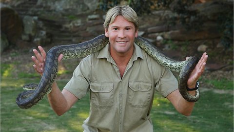 Google Pays Tribute To Steve Irwin On His 57th Birthday