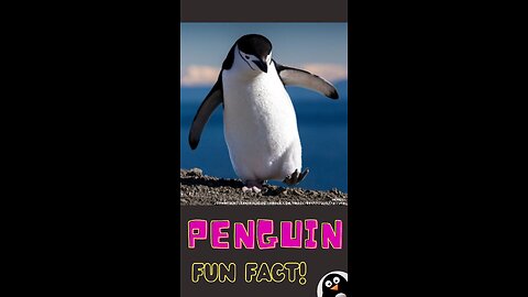 Penguin Fun Fact #shorts