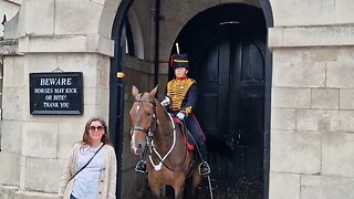 a beautiful moment with the horse #horseguardsparade