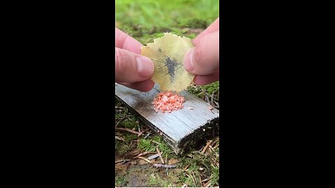 Endurance Trick of the trade for a lighter🔥 #camping #survival #bushcraft #outdoors