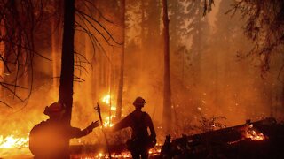 Firefighters Battle Multiple Wildfires In California