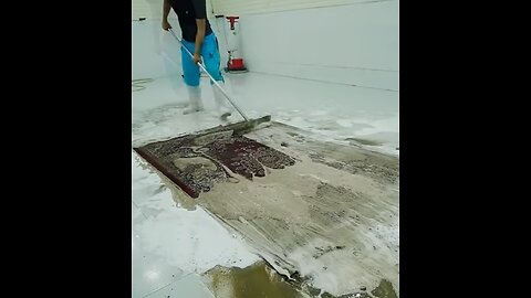 Satisfying carpet cleaning time lapse #asmr #carpetcleaning #satisfying #oddlysatisfying