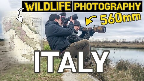 Wildlife photography in Italy || Vallevecchia