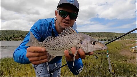 Frustrations of Spotted Grunters on Topwater lure! Pretty much most difficult fish to catch on lure!