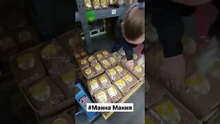 Masha's Mania in Manna, Part 1