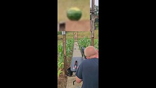 338 lapua vs watermelon