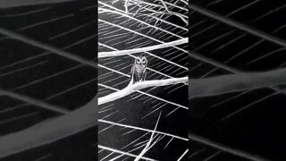 Ai Generated Video🦉#shorts #ai #aigeneratedart #aiart