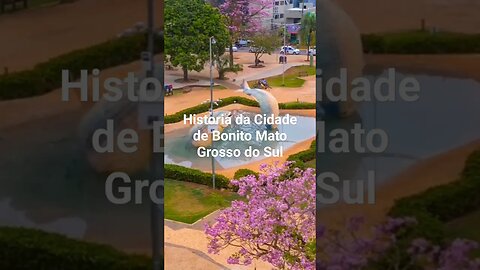 Historia da Cidade de Bonito Mato Grosso do Sul