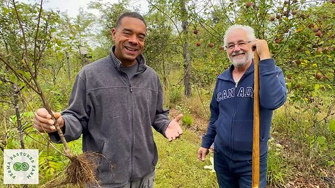 Grow Your Orchard for Free: Sobkowiak's Tree Transplanting Tips