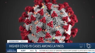 Higher COVID-19 cases among latinos